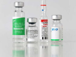 Indonesia Telah Mengamankan Lebih dari 100 Juta Dosis Vaksin