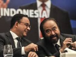 SDI: Capreskan Anies, Surya Paloh Jempolan